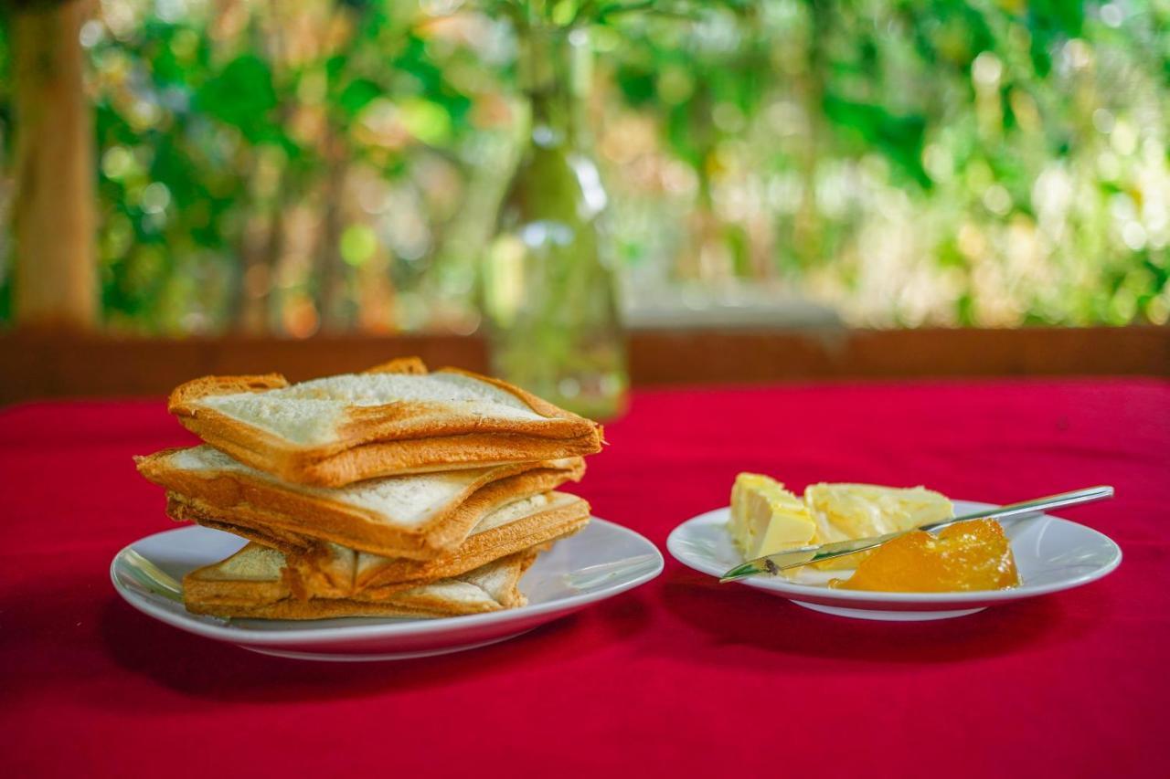 Dambulla Kings Inn Ngoại thất bức ảnh