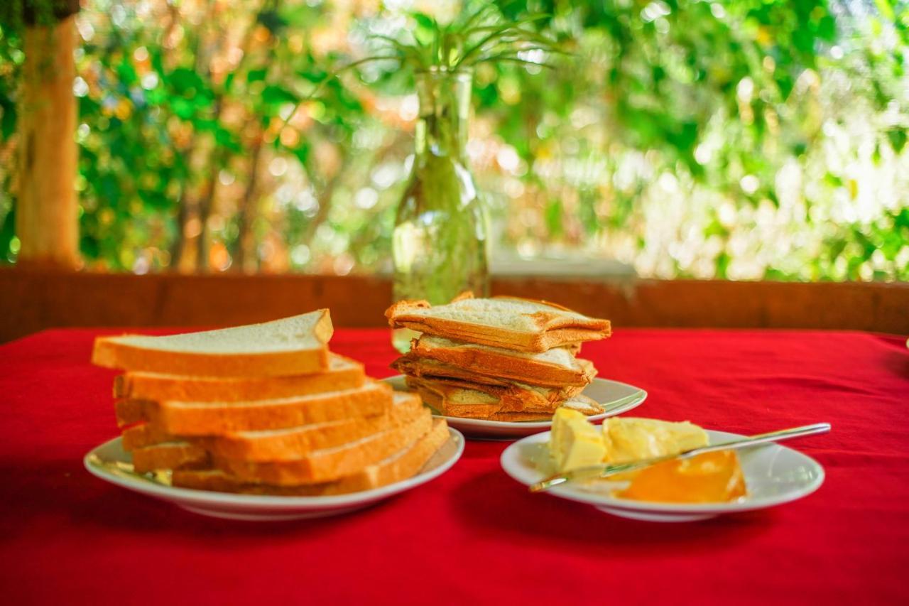 Dambulla Kings Inn Ngoại thất bức ảnh